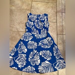 Blue and White Womens  Dress